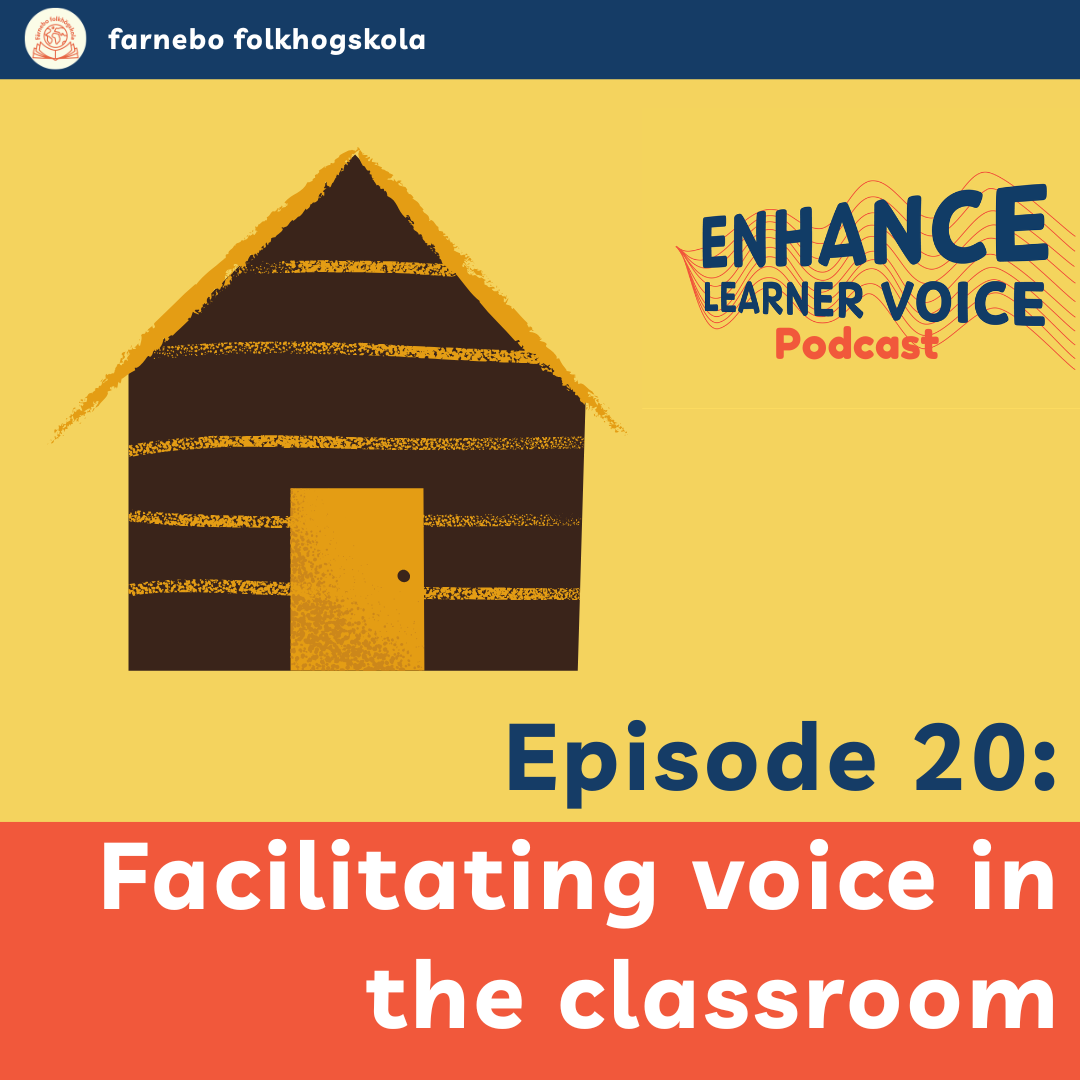 Teaching and facilitating learners participation and voice in the classroom